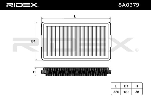 RIDEX 8A0379 Air Filter