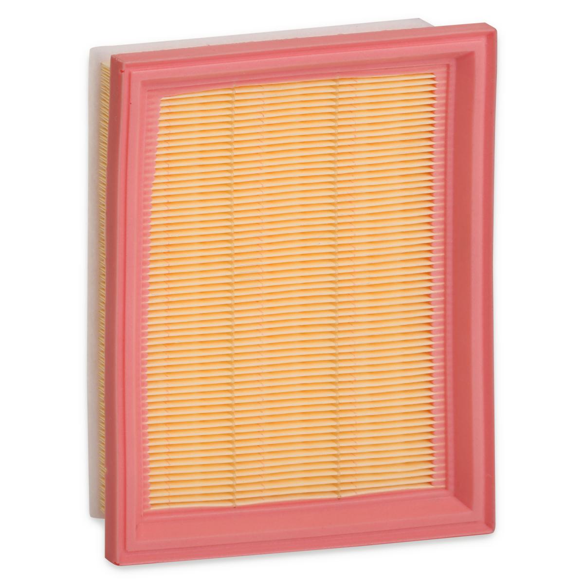 RIDEX 8A0404 Air Filter