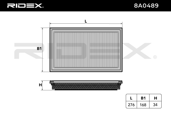 RIDEX 8A0489 Air Filter