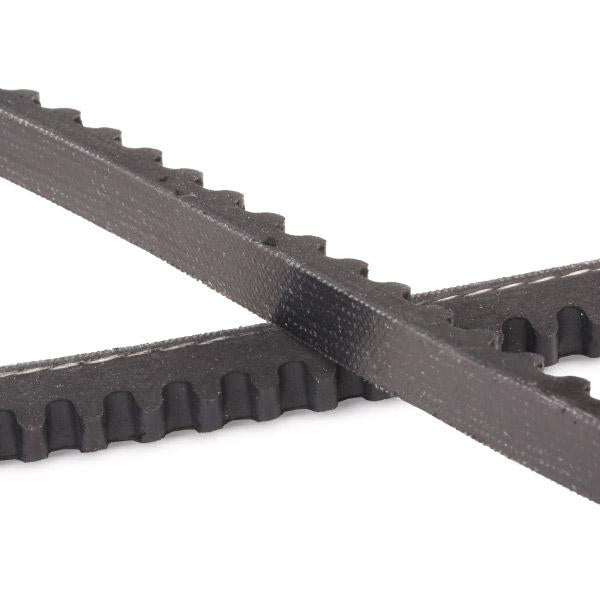 RIDEX PLUS 10C0069P V-Belt
