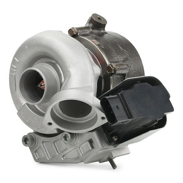 RIDEX REMAN 2234C0172R Turbocharger (remanufactured)
