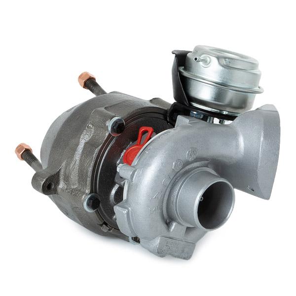 RIDEX REMAN 2234C0195R Turbocharger(remanufactured)