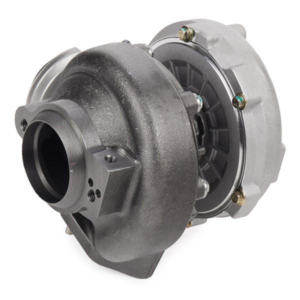 RIDEX 2234C0365 Turbocharger for BMW X5 (E53)