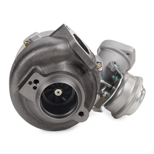 RIDEX 2234C0365 Turbocharger for BMW X5 (E53)