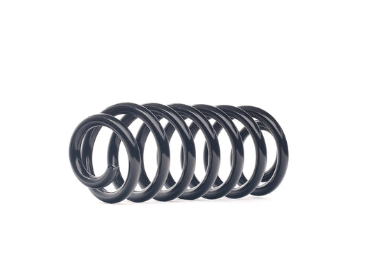RIDEX 188C0793 Coil Spring for BMW X5 (E53)