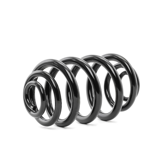 RIDEX 188C0166 Coil Spring for BMW X3 (E83)