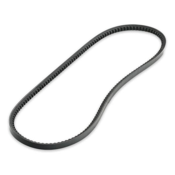 RIDEX 10C0031 V-Belt