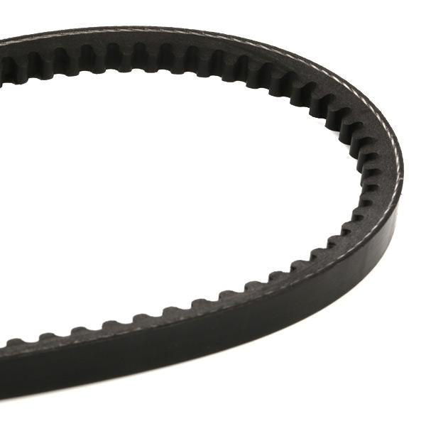 RIDEX 10C0031 V-Belt
