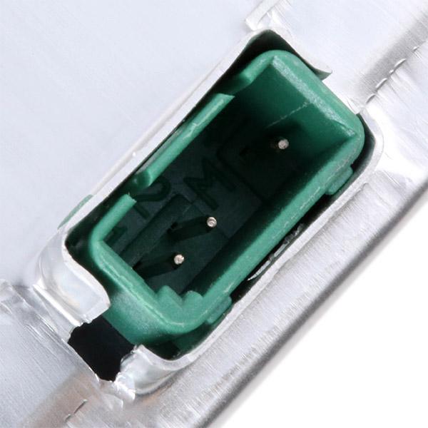 RIDEX 106B0055 Bulb, spotlight