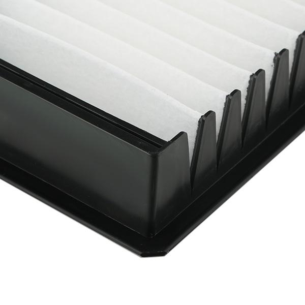 RIDEX 424I0383 Pollen filter