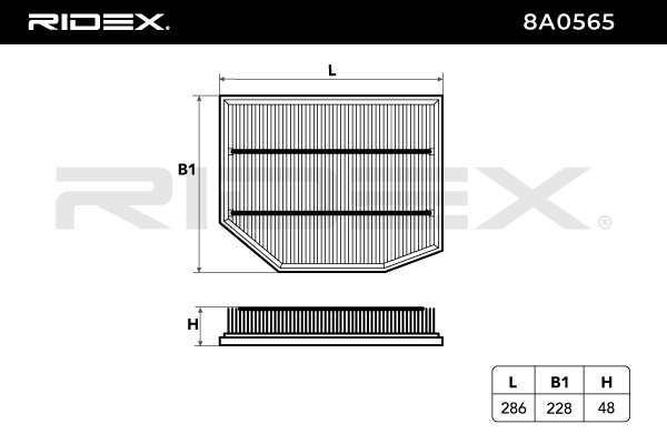 RIDEX 8A0565 Air Filter