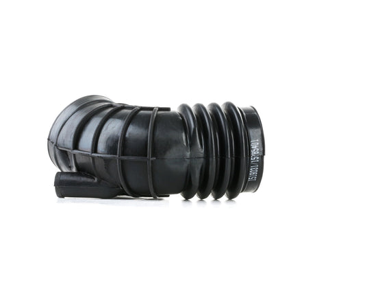 RIDEX 1591I0030 Intake pipe, air filter for BMW 3 Series