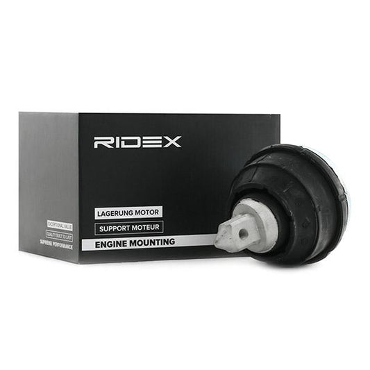 RIDEX 247E0063 Engine mount