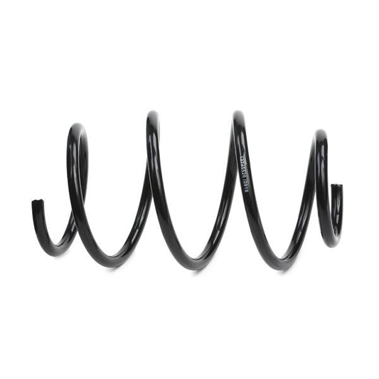 RIDEX 188C0401 Coil Spring