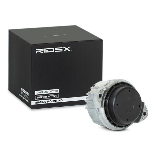 RIDEX 247E0168 Engine mount