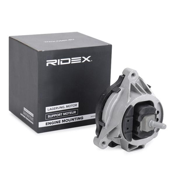 RIDEX 247E0780 Engine mount