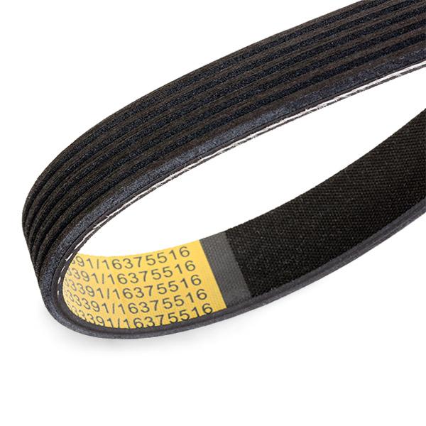 RIDEX 305P0508 V-ribbed belt