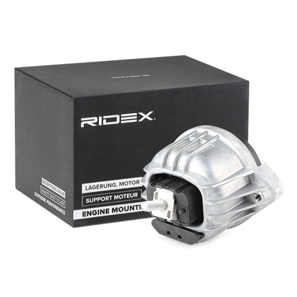 RIDEX 247E0169 Engine mount