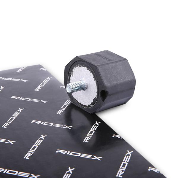 RIDEX 247E0079 Engine mount