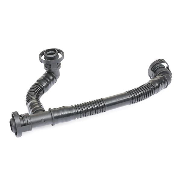 RIDEX 3886V0048 Repair Set, crankcase breather