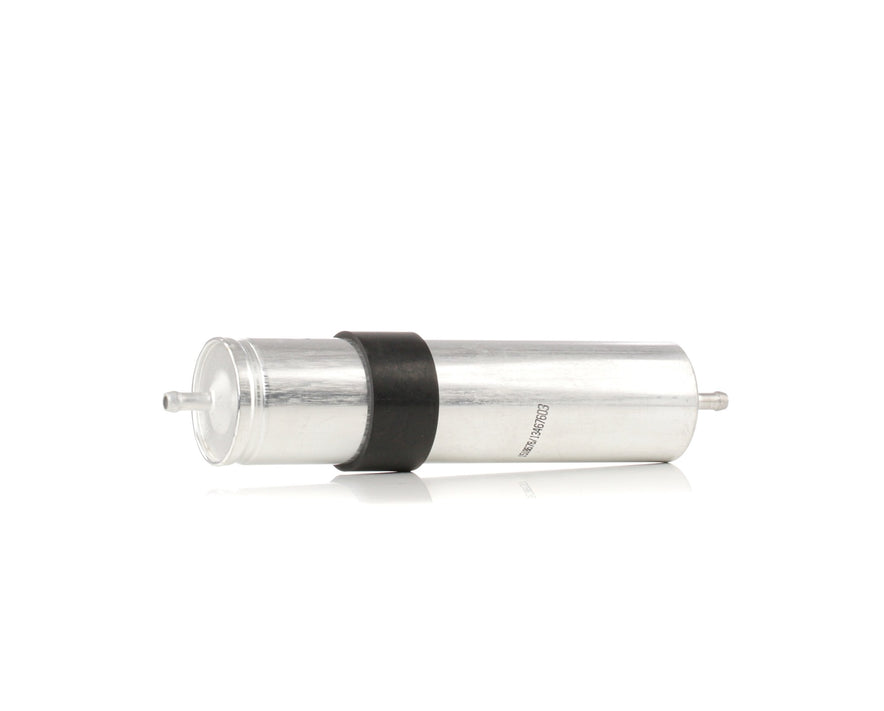 RIDEX 9F0241 Fuel filter
