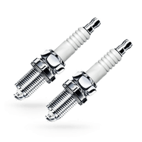 Spark plug