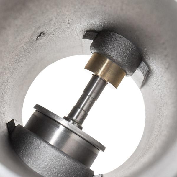 RIDEX 1145E0194 EGR Valve