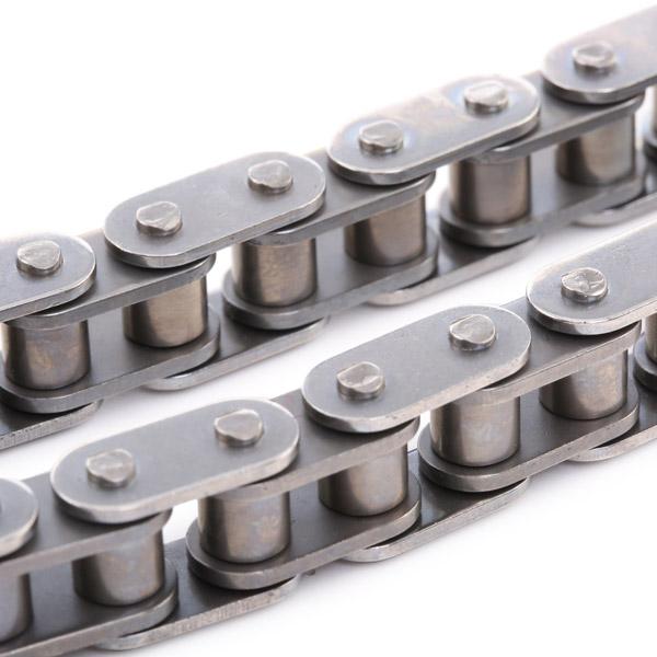 RIDEX 1389T2466 Timing Chain Kit
