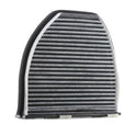 RIDEX 424I0070 Pollen filter