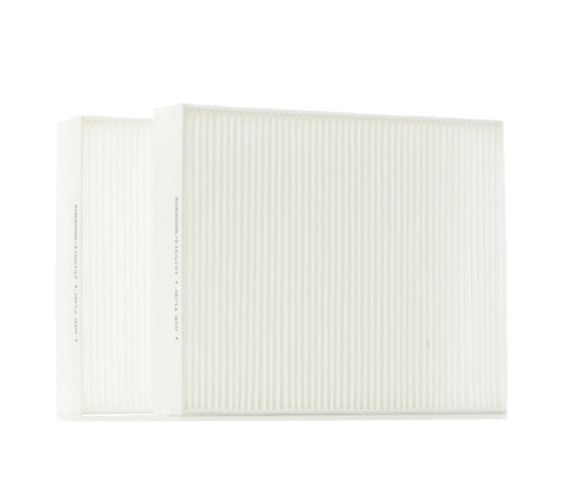 RIDEX 424I0287 Pollen filter