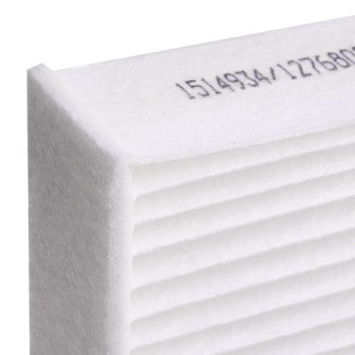 RIDEX 424I0439 Pollen filter  233mm x 115mm
