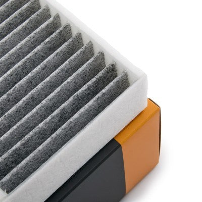RIDEX 424I0671 Pollen filter