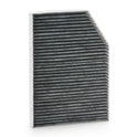 RIDEX 424I0777 Pollen filter