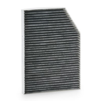 RIDEX 424I0777 Pollen filter