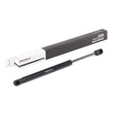RIDEX 514G0074 Bonnet strut for F10