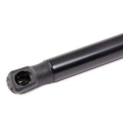 RIDEX 514G0074 Bonnet strut for F10