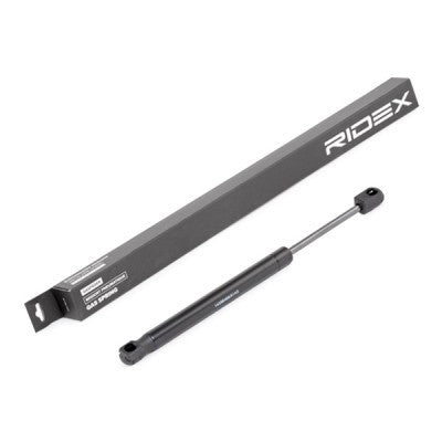 RIDEX 514G0140 Bonnet strut for F10