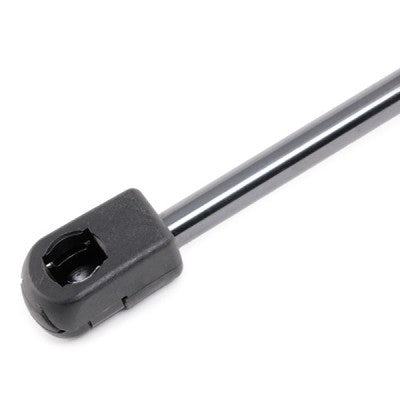 RIDEX 514G0140 Bonnet strut for F10