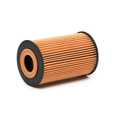 RIDEX 7O0009 Oil Filter for Audi and Volkswagen