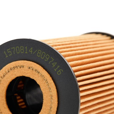 RIDEX 7O0009 Oil Filter for Audi and Volkswagen