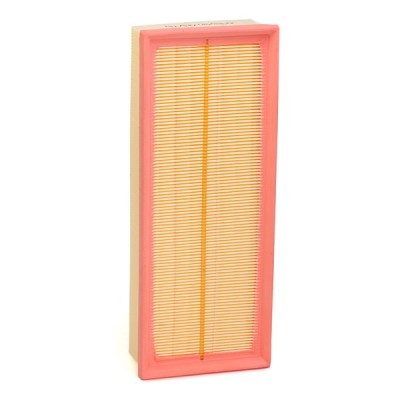 RIDEX 8A0004 Air Filter for Volkswagen