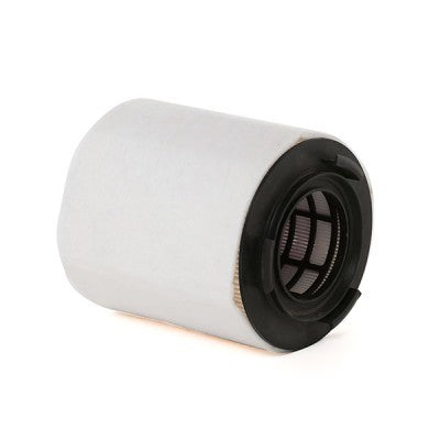 RIDEX 8A0167 Air Filter for Volkswagen
