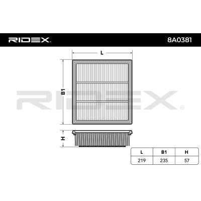 RIDEX 8A0381 Air filter