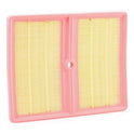 RIDEX 8A0794 Air Filter for Volkswagen