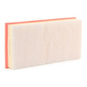 RIDEX 8A0998 Air Filter for Volkswagen