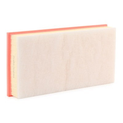 RIDEX 8A0998 Air Filter for Volkswagen
