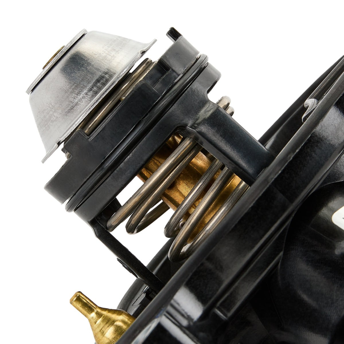 MAHLE TM 53 103 Thermostat