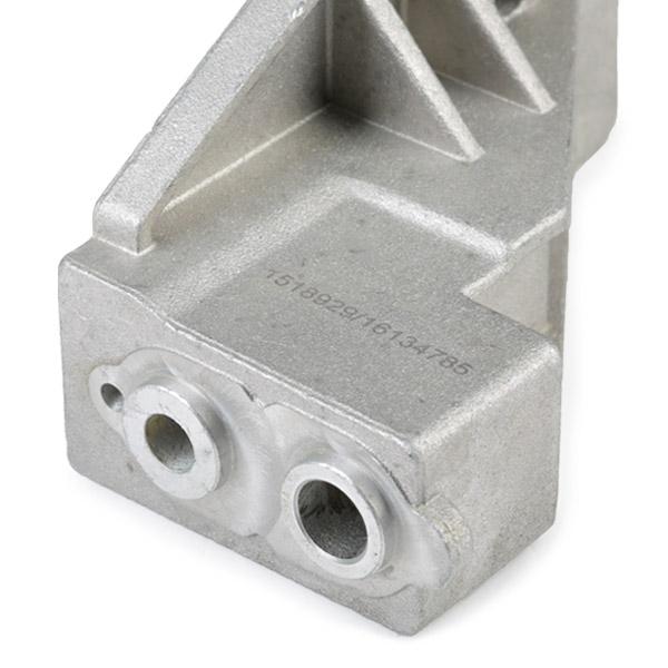 RIDEX 1075T0015 Guides, timing chain