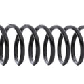 RIDEX 188C0983 Coil Spring for BMW 5 Touring (E39)