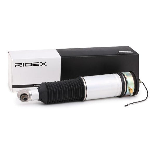 RIDEX 4118A0010 Air suspension strut for BMW 7 (E65, E66, E67)